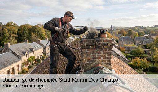 Ramonage de cheminée saint-martin-des-champs-89170 Guerin Ramonage