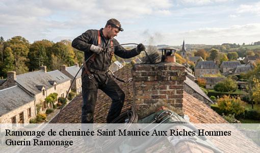 Ramonage de cheminée saint-maurice-aux-riches-hommes-89190 Guerin Ramonage