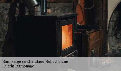 Ramonage de chaudière  bellechaume-89210 Guerin Ramonage