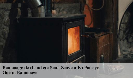Ramonage de chaudière  saint-sauveur-en-puisaye-89520 Guerin Ramonage