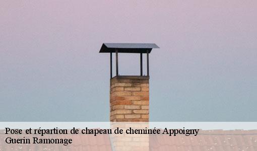 Pose et répartion de chapeau de cheminée  appoigny-89380 Guerin Ramonage