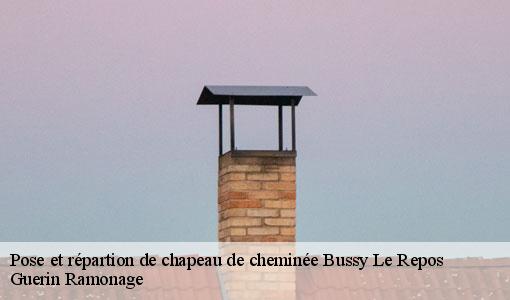 Pose et répartion de chapeau de cheminée bussy-le-repos-89500 Guerin Ramonage