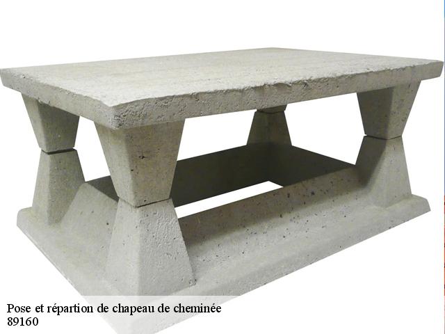 Pose et répartion de chapeau de cheminée 89160