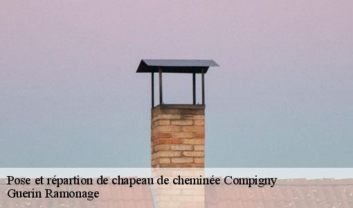 Pose et répartion de chapeau de cheminée compigny-89140 Guerin Ramonage