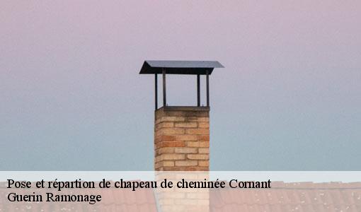 Pose et répartion de chapeau de cheminée cornant-89500 Guerin Ramonage