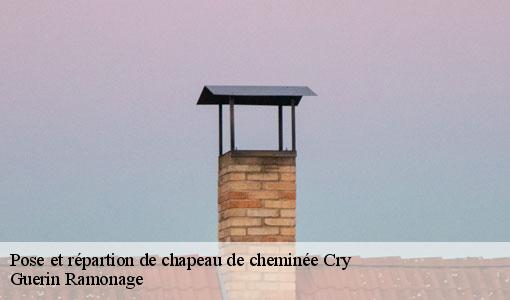 Pose et répartion de chapeau de cheminée cry-89390 Guerin Ramonage