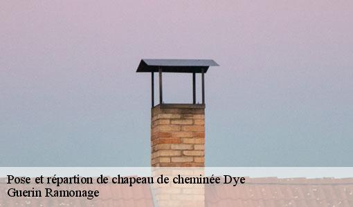 Pose et répartion de chapeau de cheminée  dye-89360 Guerin Ramonage