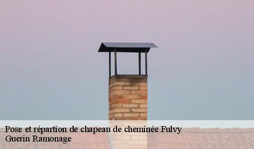 Pose et répartion de chapeau de cheminée  fulvy-89160 Guerin Ramonage