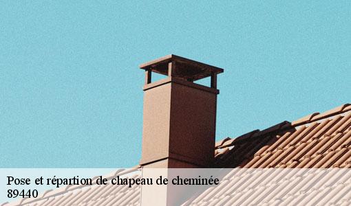 Pose et répartion de chapeau de cheminée  89440