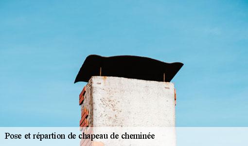 Pose et répartion de chapeau de cheminée