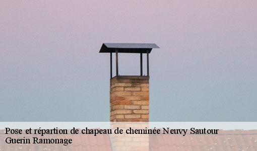 Pose et répartion de chapeau de cheminée neuvy-sautour-89570 Guerin Ramonage