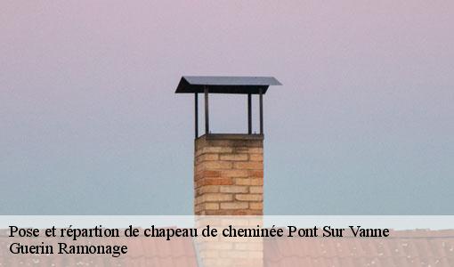 Pose et répartion de chapeau de cheminée pont-sur-vanne-89190 Guerin Ramonage