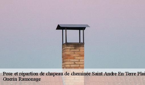 Pose et répartion de chapeau de cheminée saint-andre-en-terre-plaine-89420 Guerin Ramonage