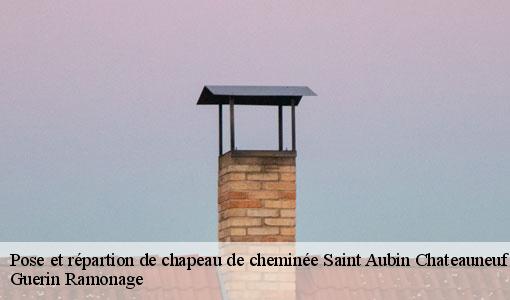 Pose et répartion de chapeau de cheminée saint-aubin-chateauneuf-89110 Guerin Ramonage