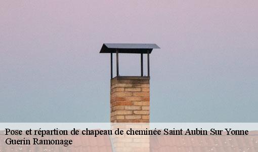 Pose et répartion de chapeau de cheminée  saint-aubin-sur-yonne-89300 Guerin Ramonage