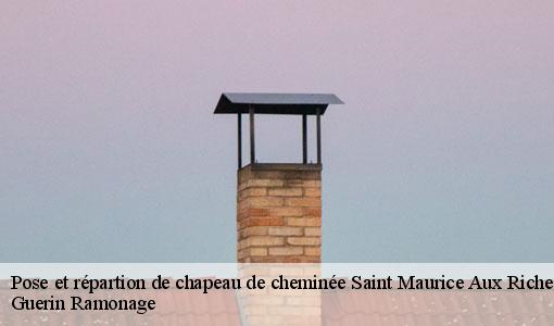 Pose et répartion de chapeau de cheminée saint-maurice-aux-riches-hommes-89190 Guerin Ramonage