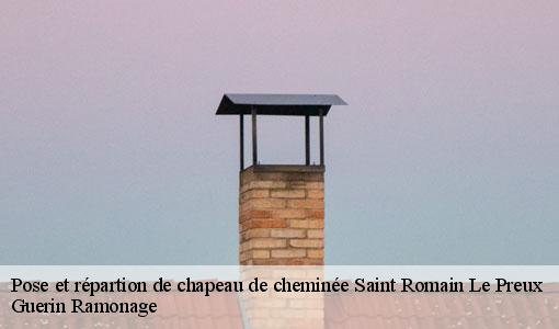 Pose et répartion de chapeau de cheminée  saint-romain-le-preux-89116 Guerin Ramonage