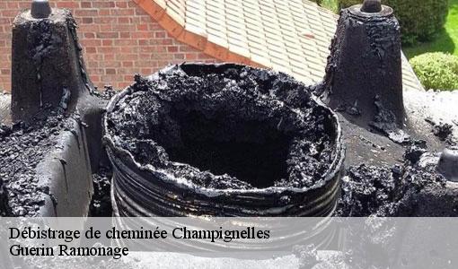 Débistrage de cheminée  champignelles-89350 Guerin Ramonage