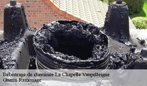 Débistrage de cheminée la-chapelle-vaupelteigne-89800 Guerin Ramonage