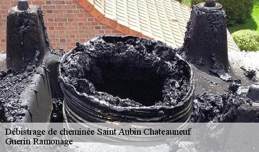 Débistrage de cheminée saint-aubin-chateauneuf-89110 Guerin Ramonage