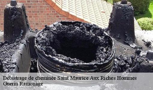 Débistrage de cheminée  saint-maurice-aux-riches-hommes-89190 Guerin Ramonage