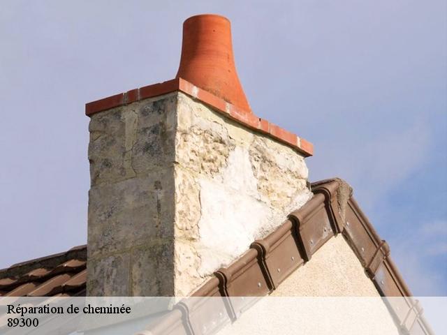 Réparation de cheminée 89300