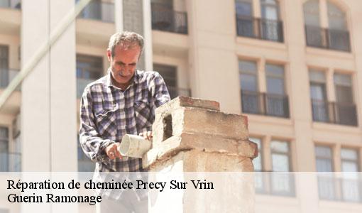 Réparation de cheminée  precy-sur-vrin-89116 Guerin Ramonage