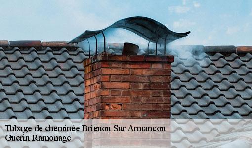 Tubage de cheminée  brienon-sur-armancon-89210 Guerin Ramonage