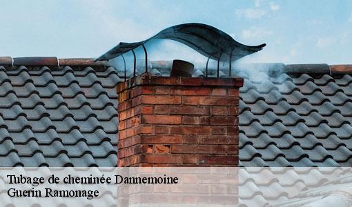 Tubage de cheminée dannemoine-89700 Guerin Ramonage