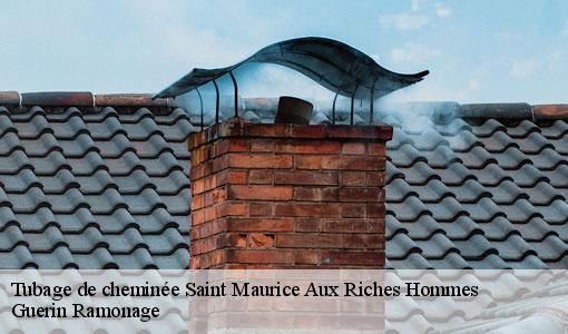 Tubage de cheminée saint-maurice-aux-riches-hommes-89190 Guerin Ramonage