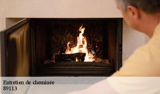 Entretien de cheminée  89113