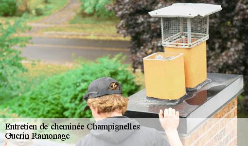 Entretien de cheminée  champignelles-89350 Guerin Ramonage