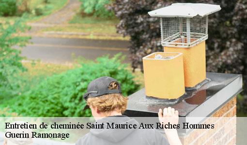 Entretien de cheminée saint-maurice-aux-riches-hommes-89190 Guerin Ramonage
